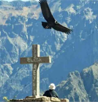 En este momento estás viendo Cañon del Colca